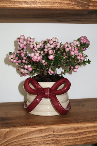 Knit Bow Mug - Bourgogne