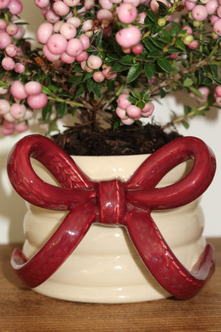 Knit Bow Mug - Bourgogne