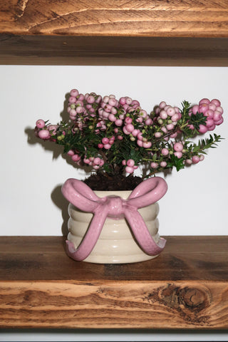 Knit Bow Mug - Rosé