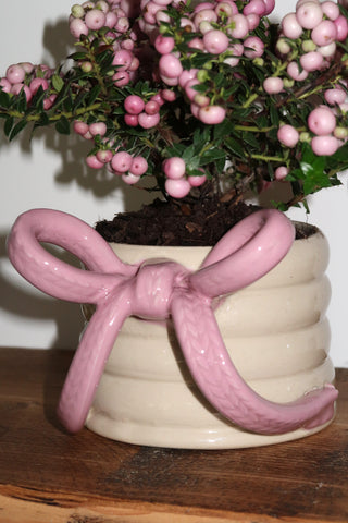 Knit Bow Mug - Rosé
