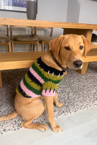 Winnie Chunky Knit Pet Sweater