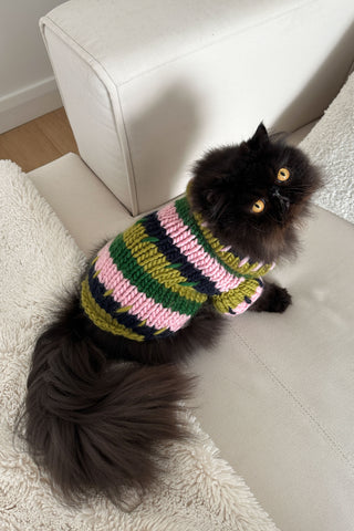 Winnie Chunky Knit Pet Sweater