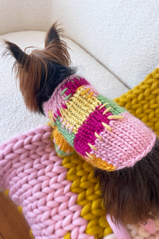 Lily Chunky Knit Pet Sweater