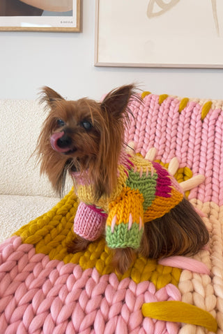 Lily Chunky Knit Pet Sweater